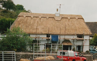 Thatched Roofing Devon