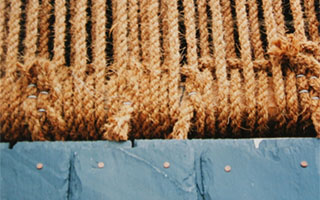 Thatch Devon