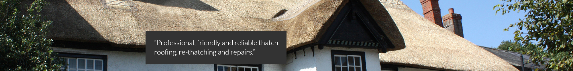 Master thatchers Devon