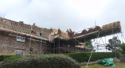 Roof Thatcher Wellington
