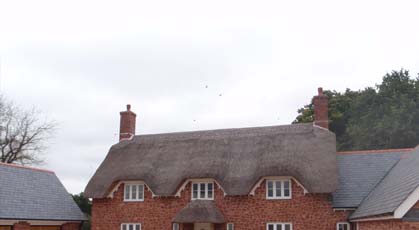Roof Thatcher Kentisbeare
