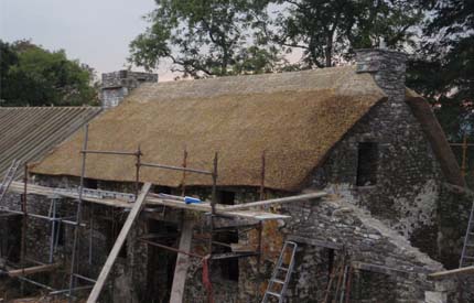 Roof Thatcher Kentisbeare
