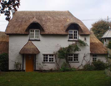 South Molton Master Thatcher