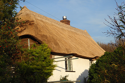 South Molton Roofing