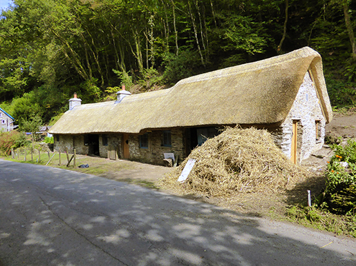 Commercial Thatcher Devon