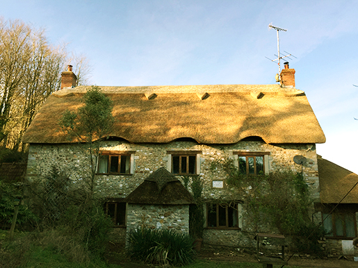 Thatch Roofing Devon