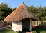 Thatch Roofing Exeter