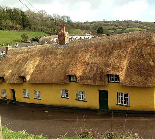 Thatch Roofing Devon