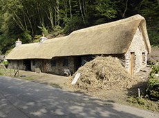 Thatch Roofing Devon
